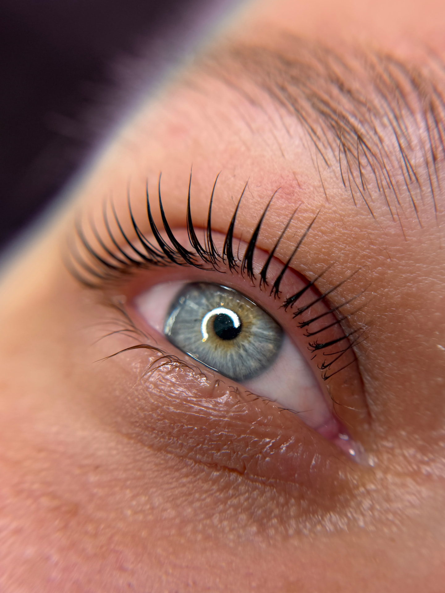 Opgelifte en gekrulde natuurlijke wimpers na een lashlift